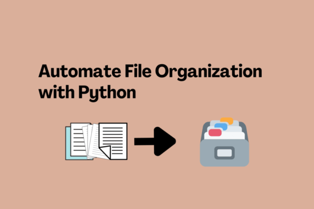 Automate File Organization with Python