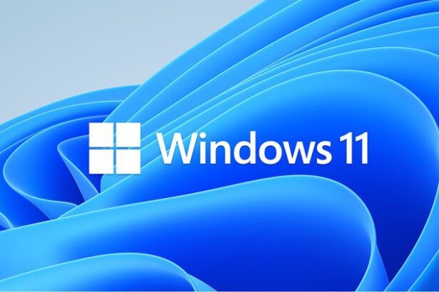 Microsoft Windows 11