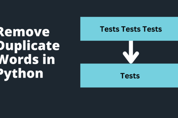 Remove Duplicate Words in Python